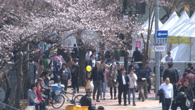 제13회 영등포 여의도 봄꽃축제 문화예술행사 사진