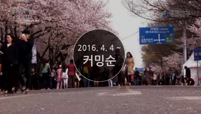제12회 영등포 여의도 봄꽃축제 예고 사진