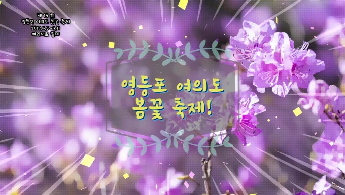 2019 영등포 여의도 봄꽃 축제 스팟 사진
