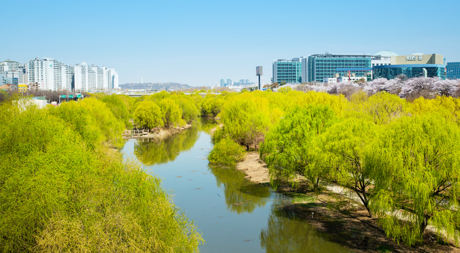 Yeouido Saetgang Ecological Park