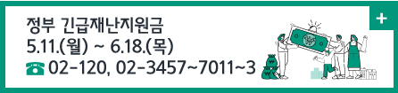 정부 긴급재난지원금/5.11.(월) ~ 6.18.(목)
