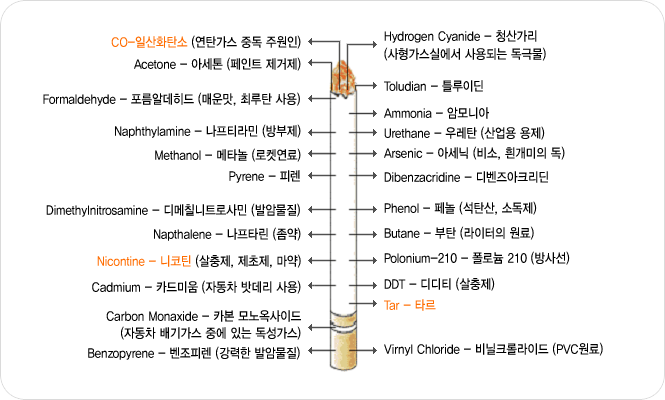 해로운 성분 안내 - 자세한 내용은 하단 참조