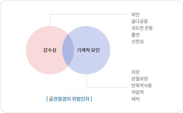 골관절염의 위험인자-자세한 내용 하단 참조