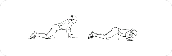 남자테스트 방법 - 몸을 앞으로 기울인 상태에서 체중을 솜과 발가락으로 지지하는 자세로 시작한다. 팔은 굽혀서 가슴이 바닥에 닿을 때까지 몸을 낮춘다.쉬지않고 연속적으로 동작을 반복할 수 없을때까지의 횟수를 기록