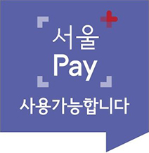 서울 pay 사용가능합니다