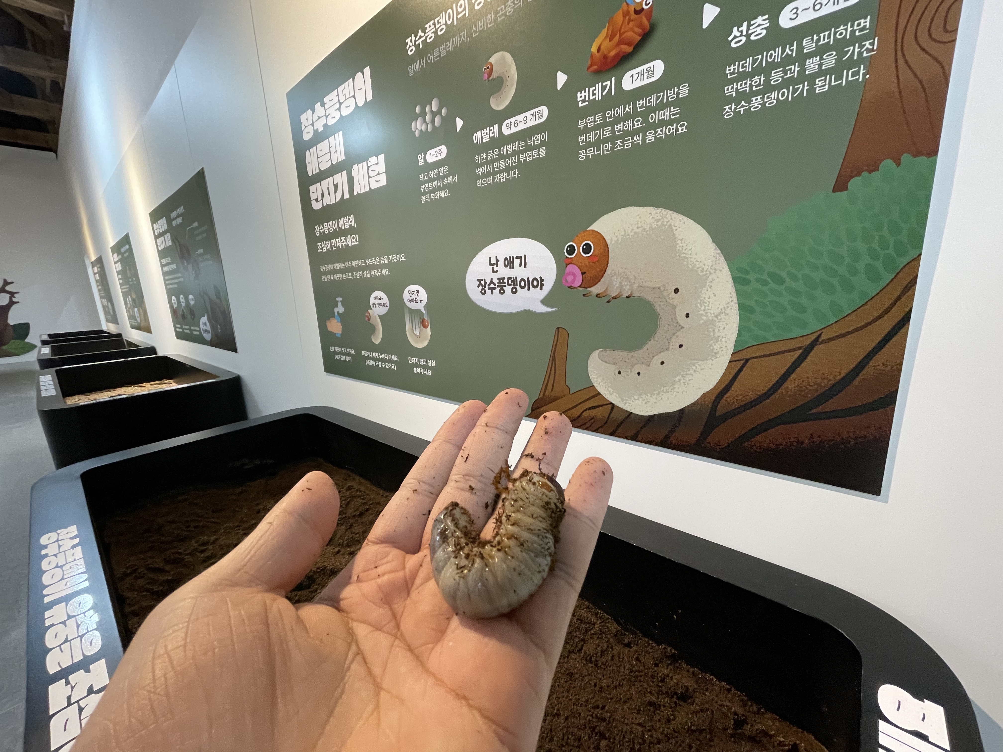 곤충체험학습장1